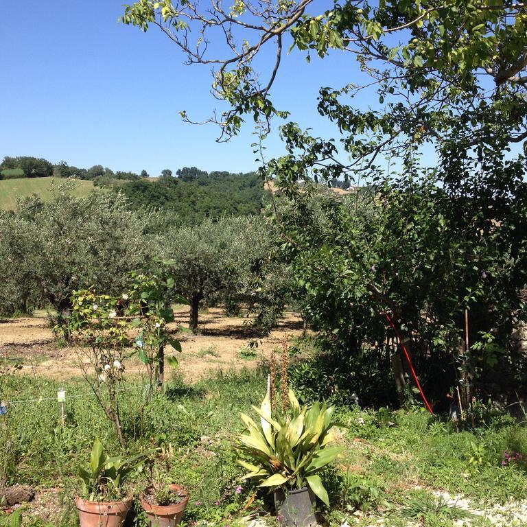 Villa Masseria Spadone Civitella Casanova Exterior foto